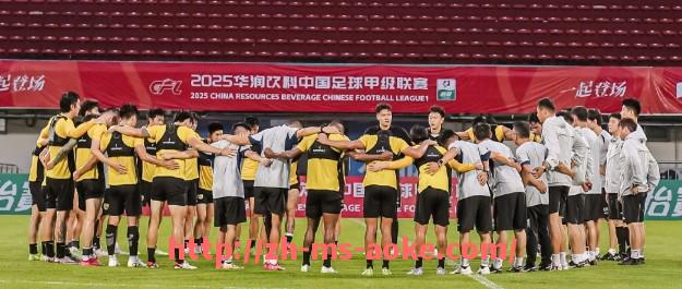 澳客足彩-西甲全程高清直播在线入口合集